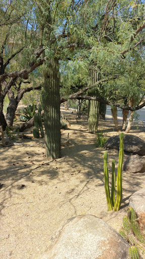 Park «Buffalo Ridge Park», reviews and photos, 19250 N 16th St, Phoenix, AZ 85024, USA