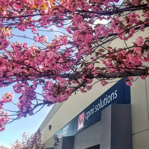 Marketing Agency «CPMI Solutions», reviews and photos, 3781 W 2270 S, Salt Lake City, UT 84120, USA