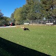 Beneful Dream Dog Park
