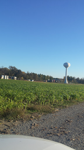 Department Store «Walmart Supercenter», reviews and photos, 150 Commerce Drive, Fairfield, IL 62837, USA