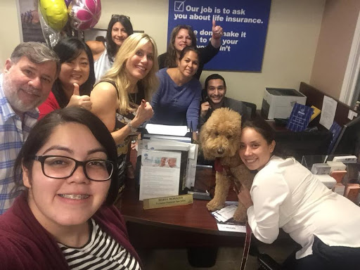 Insurance Agency «Allstate: Lisa Faina», reviews and photos