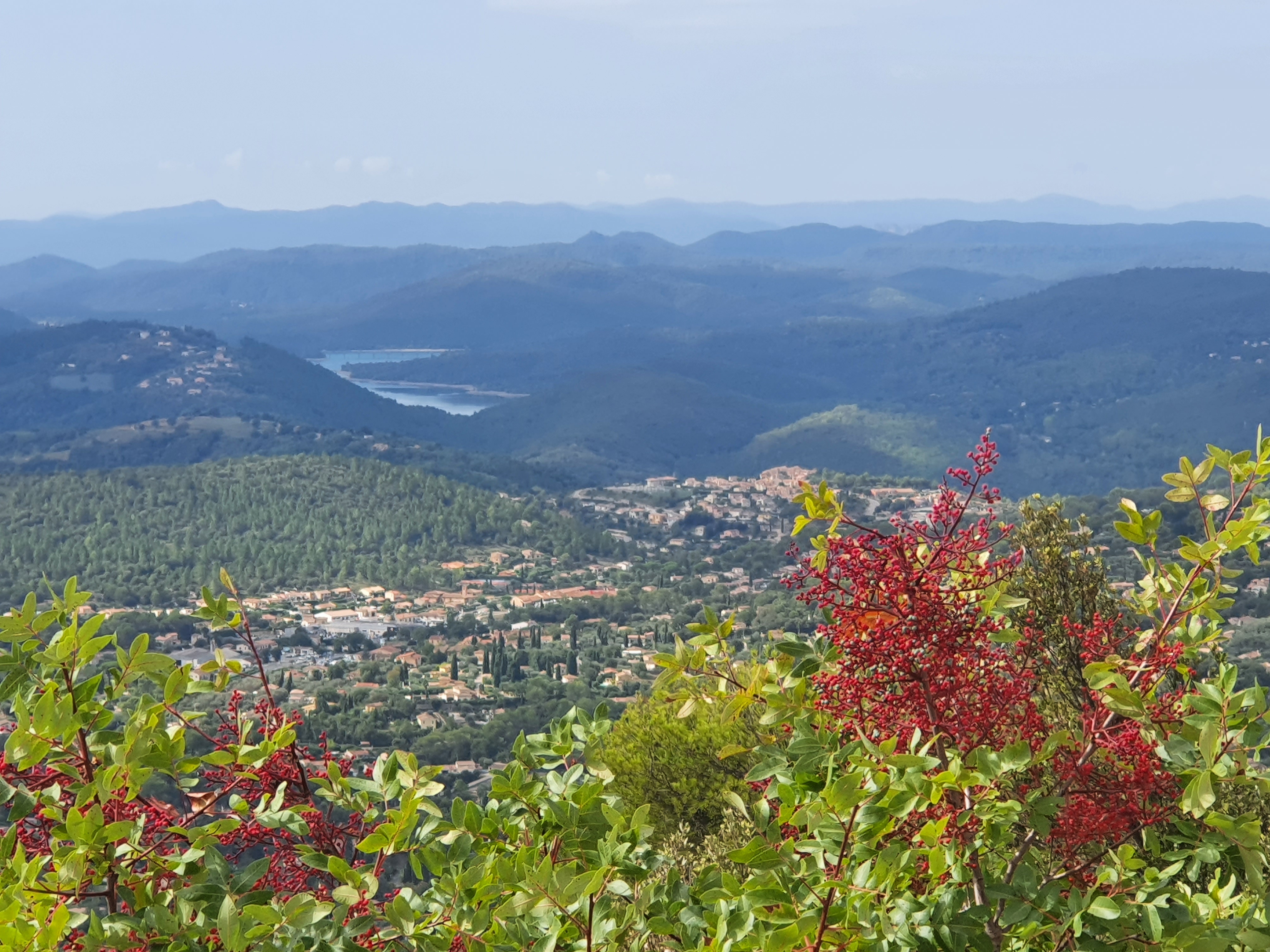 Photo n° 6 de l'avis de DELBARRE.R fait le 28/09/2022 à 15:03