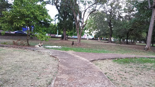 Área Infantil parque Mirador Sur