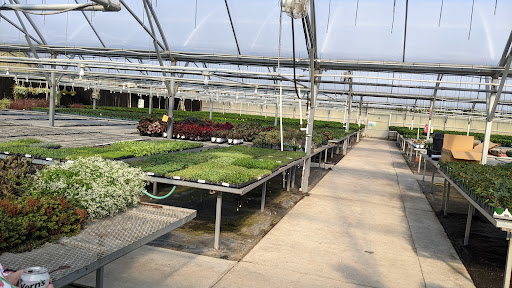 Brown's Greenhouse