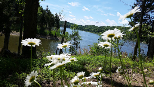 State Park «Taylorsville Lake State Park», reviews and photos, 1320 Park Rd, Mt Eden, KY 40046, USA