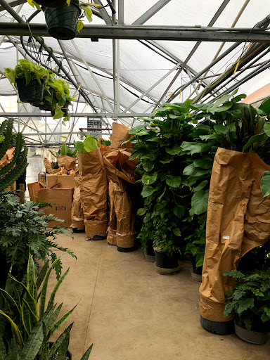 Florist «Little Eden Plantscaping», reviews and photos, 15550 W 72nd Ave, Arvada, CO 80007, USA