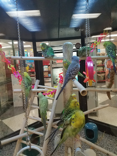 Bird shop Bridgeport