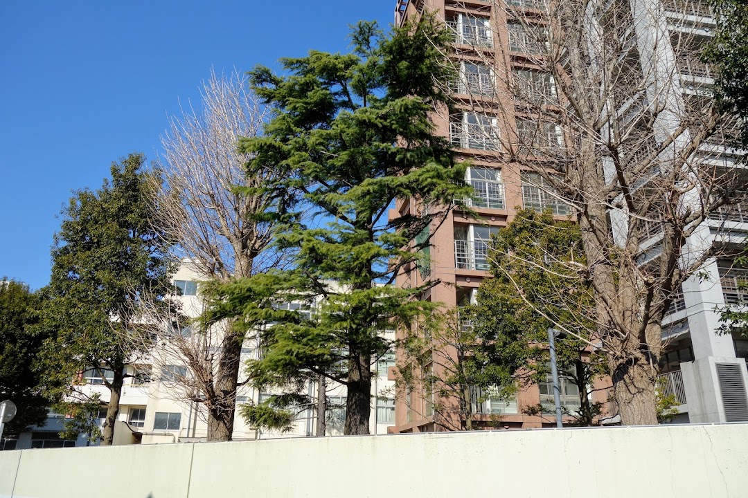 千葉経済大学附属高等学校 市内で千葉市