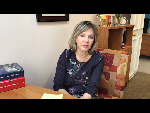 Immigration Attorney «The Law Office of Irina Vinogradsky, LLC», reviews and photos