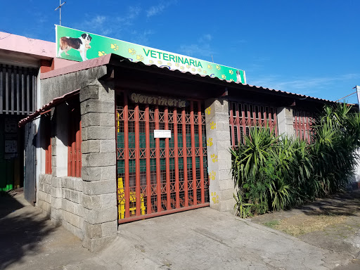Veterinaria San Bernardo