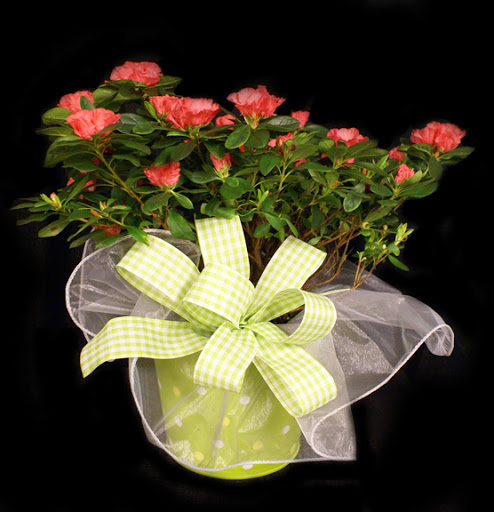 Event Planner «Savoir-Faire Event Planning», reviews and photos, 2309 W Market St, Akron, OH 44313, USA