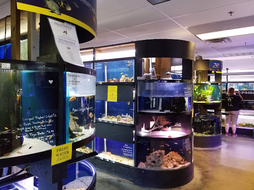 Pet Store «Zoo Creatures Pet Store», reviews and photos, 149 Plaistow Rd, Plaistow, NH 03865, USA