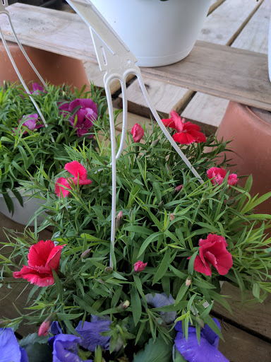 Home Improvement Store «Menards», reviews and photos, 3800 National Rd E, Richmond, IN 47374, USA