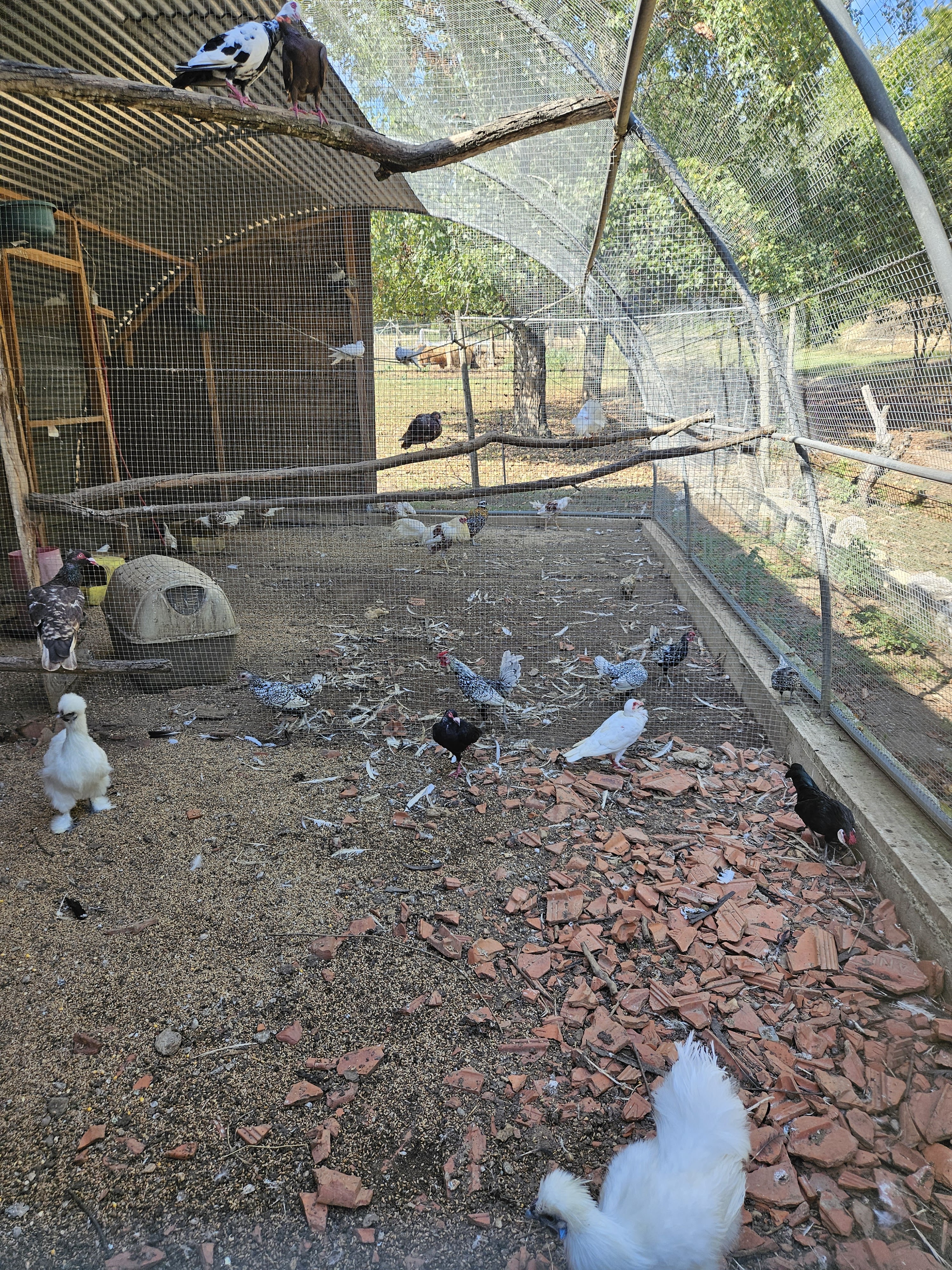 Photo n° 11 de l'avis de Emmanuelle.a fait le 22/09/2023 à 14:59