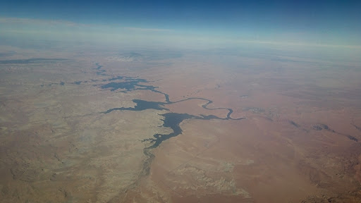 Restaurant «Wildflower Bread Company», reviews and photos, 3425 E Baseline Rd #101, Gilbert, AZ 85234, USA