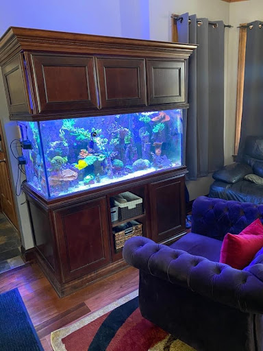 Tropical Fish Store «Glasscages.com LLC», reviews and photos, 1500 E Piney Rd, Dickson, TN 37055, USA