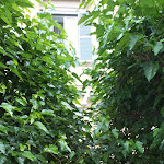 Photo n°1 de l'avis de Jeroen.r fait le 05/06/2023 à 19:59 sur le  Gran Caffe' Roma à Frascati