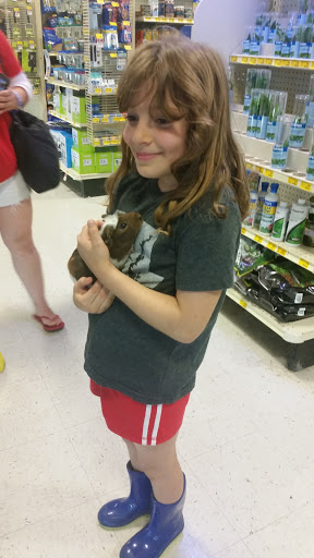 Pet Supply Store «PetSmart», reviews and photos, 7663 Arundel Mills Blvd, Hanover, MD 21076, USA