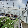 University of Hawaii at Hilo, experimental ag farm