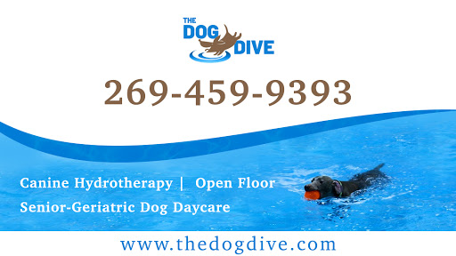 Pet Store «The Dog Dive», reviews and photos, 1613 Riverview Dr, Kalamazoo, MI 49004, USA