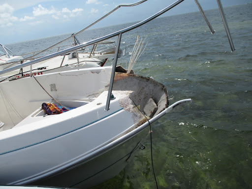 Bait Shop «Armed Anglers», reviews and photos, 1801 US-19, Holiday, FL 34691, USA