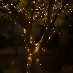 Photo n°10 de l'avis de Antonio.o fait le 15/08/2023 à 20:38 sur le  MELE Pizza and Grill à Positano