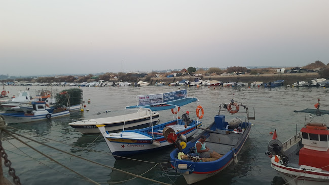 Avaliações doBarcos carreira regulares Fuseta-Armona em Olhão - Agência de viagens