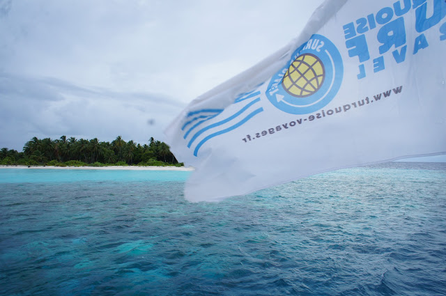 Turquoise Surf Travel