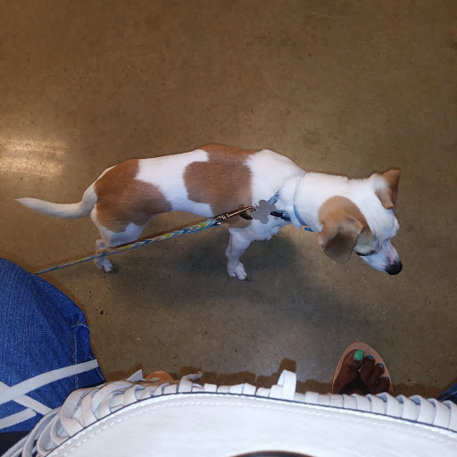 Pet Supply Store «PetSmart», reviews and photos, 9905 E Independence Blvd, Matthews, NC 28105, USA