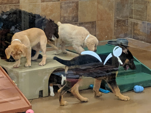 Pet Supply Store «PetSmart», reviews and photos, 11200 Prairie Lakes Dr, Eden Prairie, MN 55344, USA