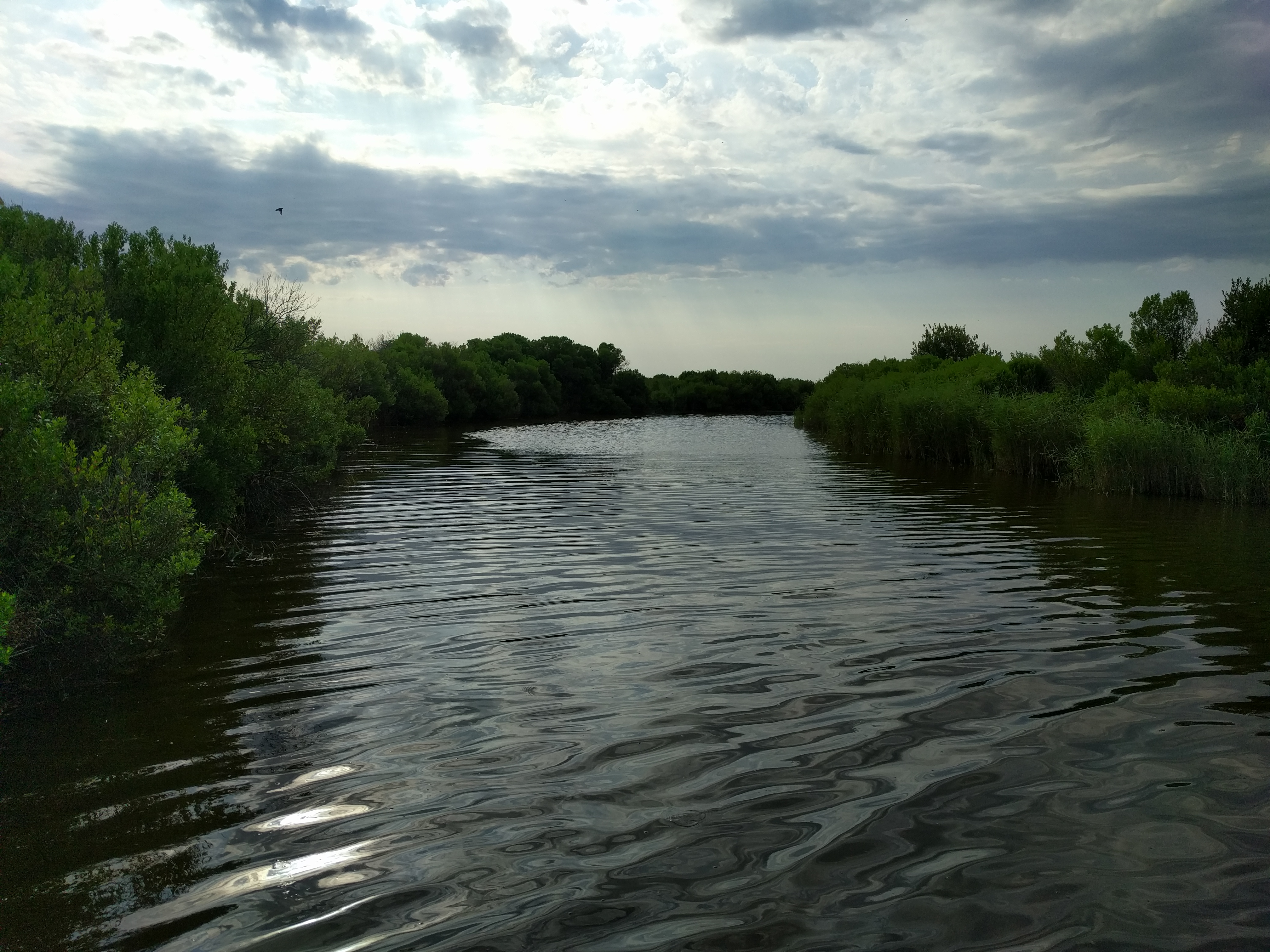 Photo n° 1 de l'avis de Patrick.r fait le 18/07/2018 à 17:51