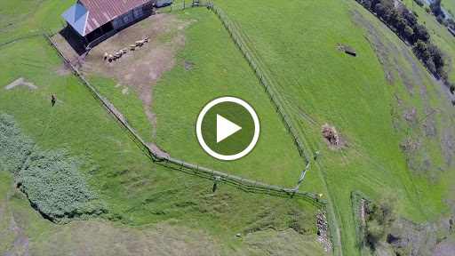 Futon Store «The Futon Shop», reviews and photos, 32 E 4th Ave, San Mateo, CA 94401, USA