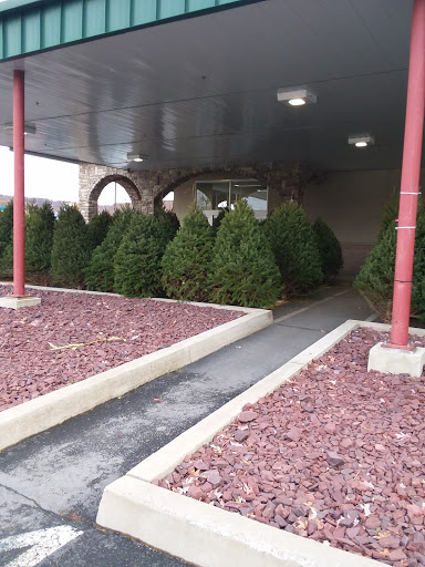 Grocery Store «Riccardos Market», reviews and photos, 1219 Wheeler Ave, Scranton, PA 18510, USA