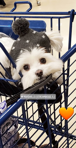 Department Store «Marshalls», reviews and photos, 1031 S Sutton Rd, Streamwood, IL 60107, USA