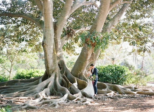 Wedding Planner «Bourbon and Blush Events», reviews and photos, 11204 Clayridge Dr, Tampa, FL 33635, USA