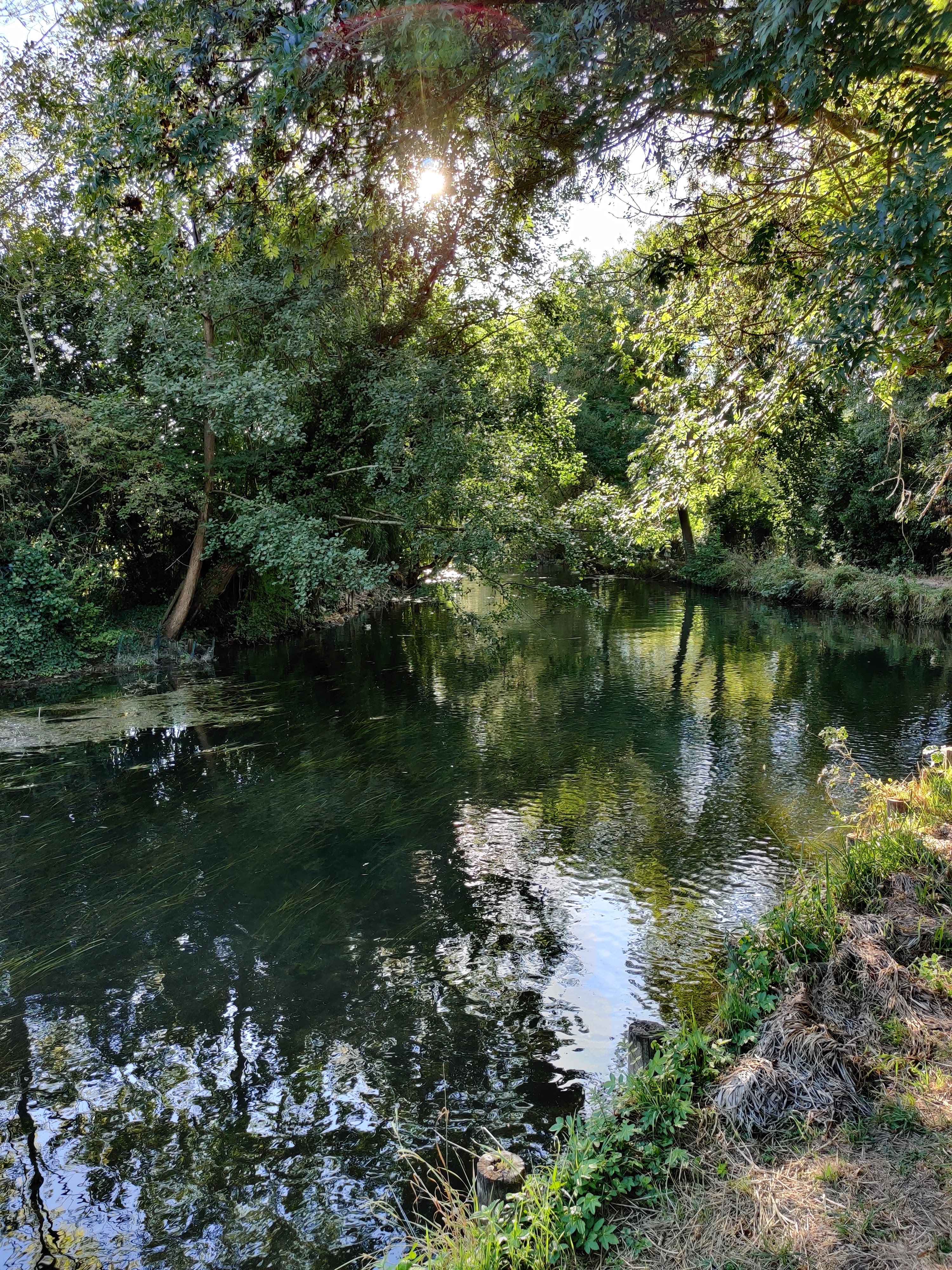 Photo n° 5 de l'avis de Jean-François.i fait le 17/09/2023 à 16:20