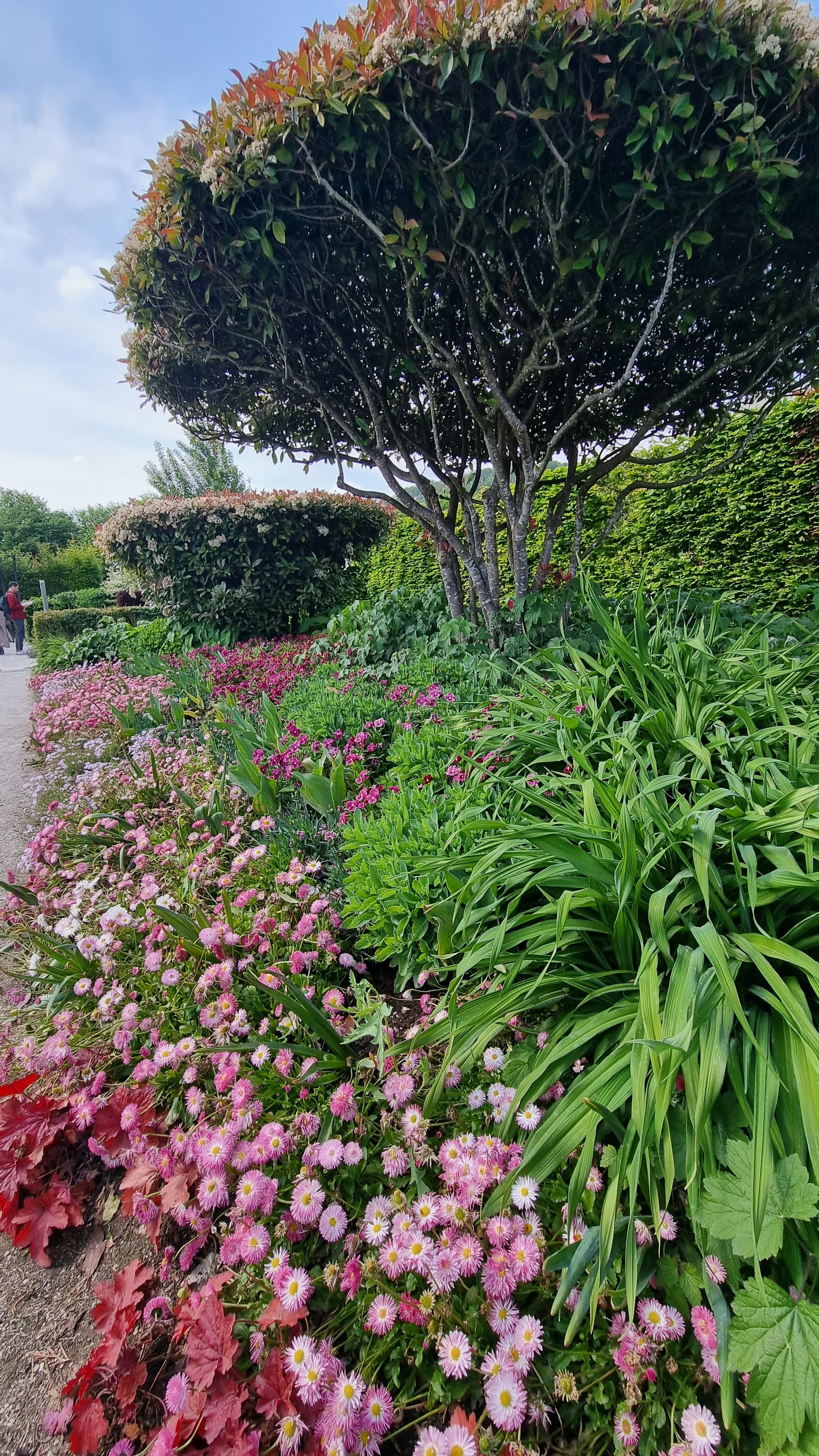 Photo n° 5 de l'avis de Cyd.d fait le 22/07/2023 à 15:50