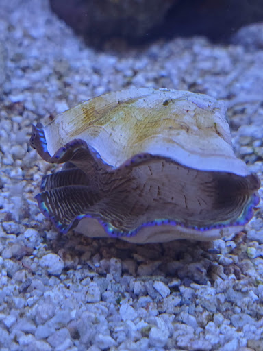 Pet Supply Store «Petco Animal Supplies», reviews and photos, 2140 E Blvd St, Kokomo, IN 46902, USA