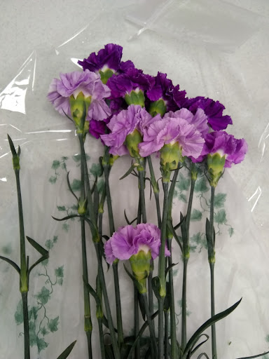 Florist «Clemmons Florist Inc», reviews and photos, 2828 Battleground Ave, Greensboro, NC 27408, USA