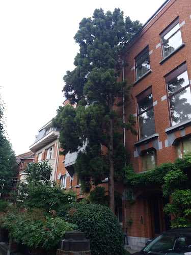 E, Edmond Mesenslaan 2, 1040 Etterbeek