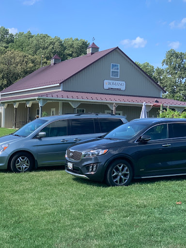 Vineyard «Romano Vineyard & Winery», reviews and photos, 15715 Bald Eagle School Rd, Brandywine, MD 20613, USA