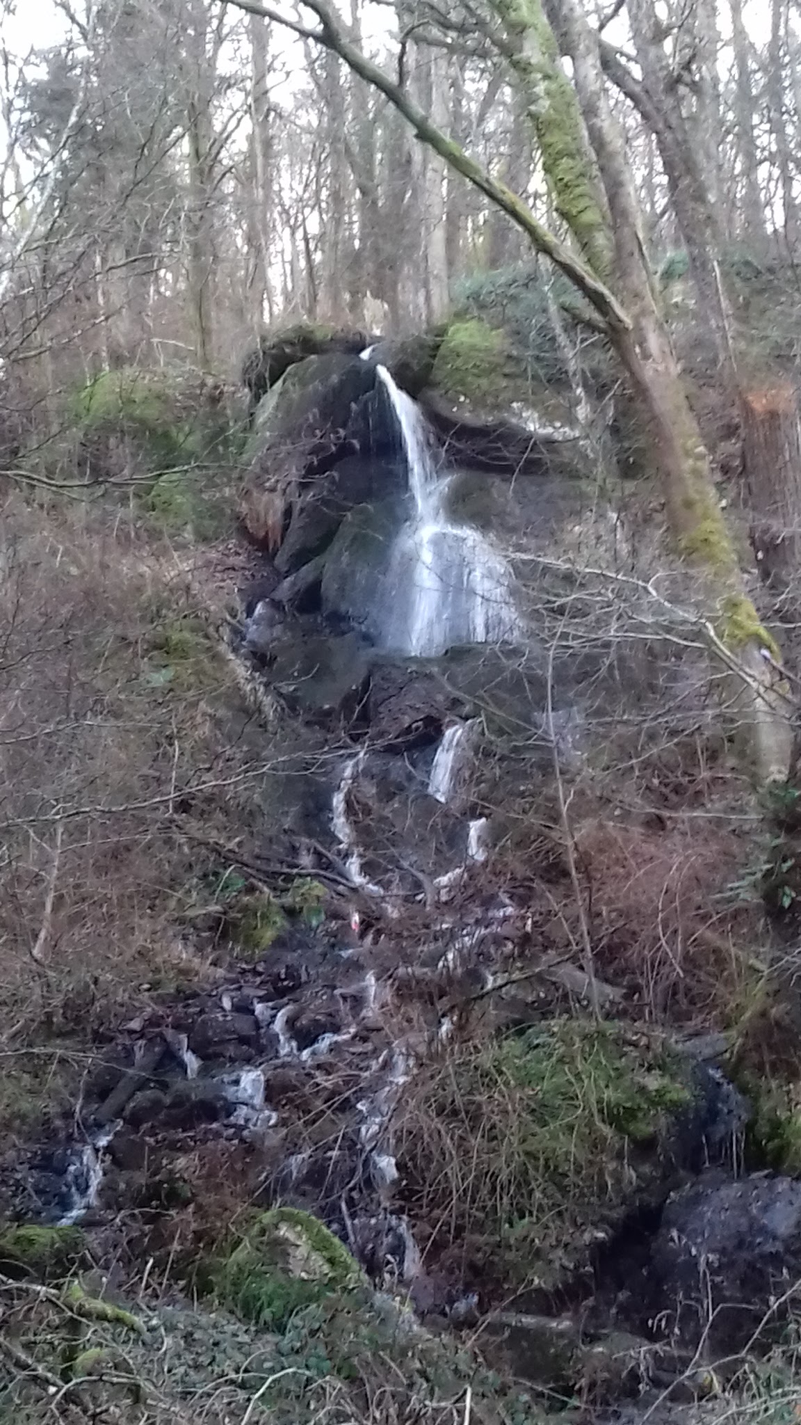 Photo n° 6 de l'avis de Sofia.i fait le 06/01/2018 à 10:17