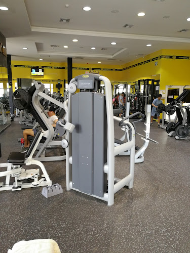 Diana Quintana Gym