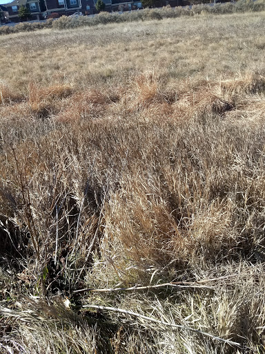 Golf Course «Kennedy Golf Course», reviews and photos, 10500 E Hampden Ave, Denver, CO 80014, USA