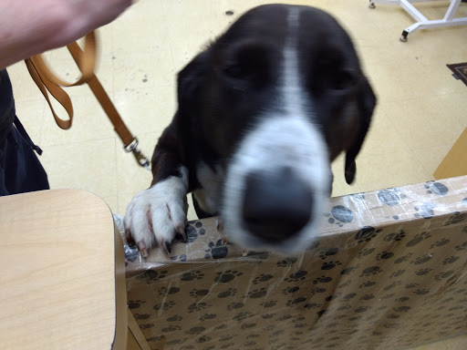 Pet Supply Store «Pet Supplies Plus», reviews and photos, 3100 Manchester Rd, Akron, OH 44319, USA