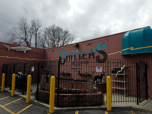 Pet Store «Critter Pet Shop», reviews and photos, 19309 Ecorse Rd, Allen Park, MI 48101, USA
