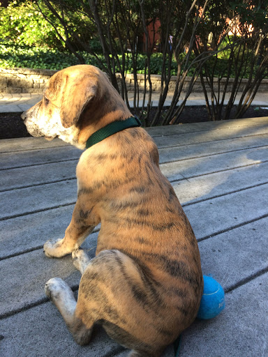 Pet Supply Store «Pets Plus - Bensalem», reviews and photos, 1336 Bristol Pike, Bensalem, PA 19020, USA