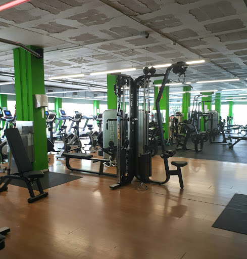 Club Natació Badia en Badia del Vallès, Barcelona