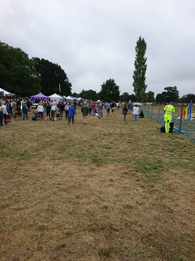 Ellingham & Ringwood Rugby Football Club