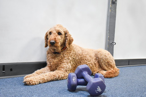 Wellness Center «Wilcox Wellness & Fitness», reviews and photos, 224 Union St, Bangor, ME 04401, USA